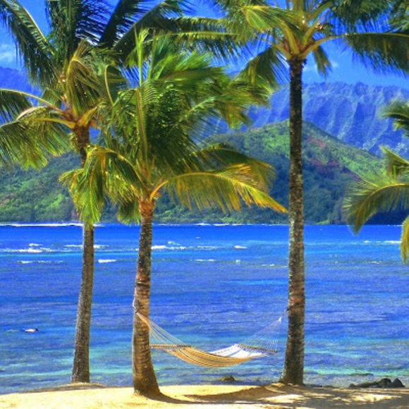 Meet your Posher, Marcella - Picture 1 of 1